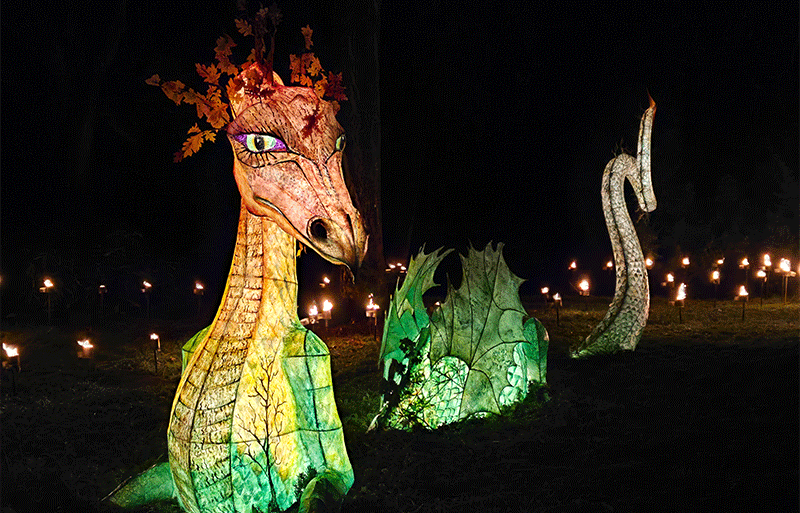 Glow Wild at Wakehurst: Mesmerising & Tree-mendous | Sussex Exclusive