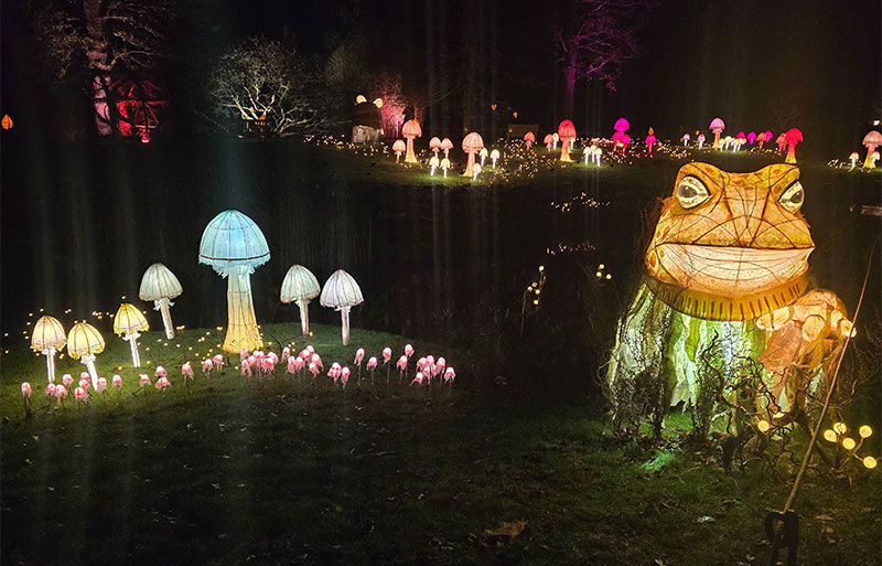 Glowwild-25.-4.jpg